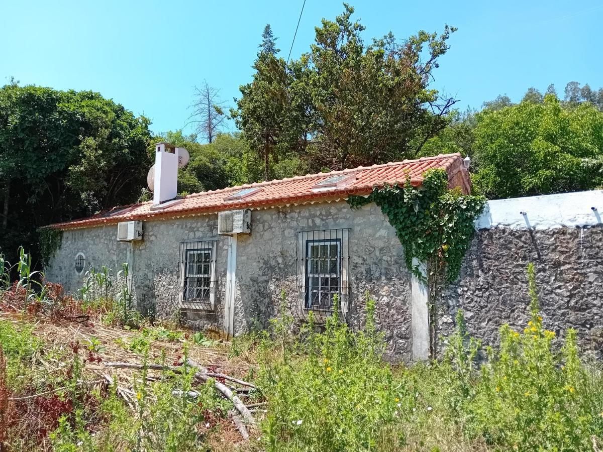 Holiday home Retiro D'azenha